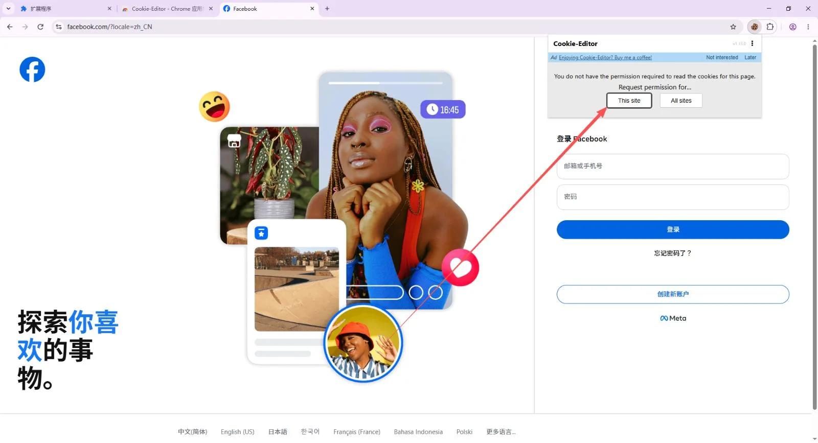 Cookie-Editor asking for permission with the This site button highlighted