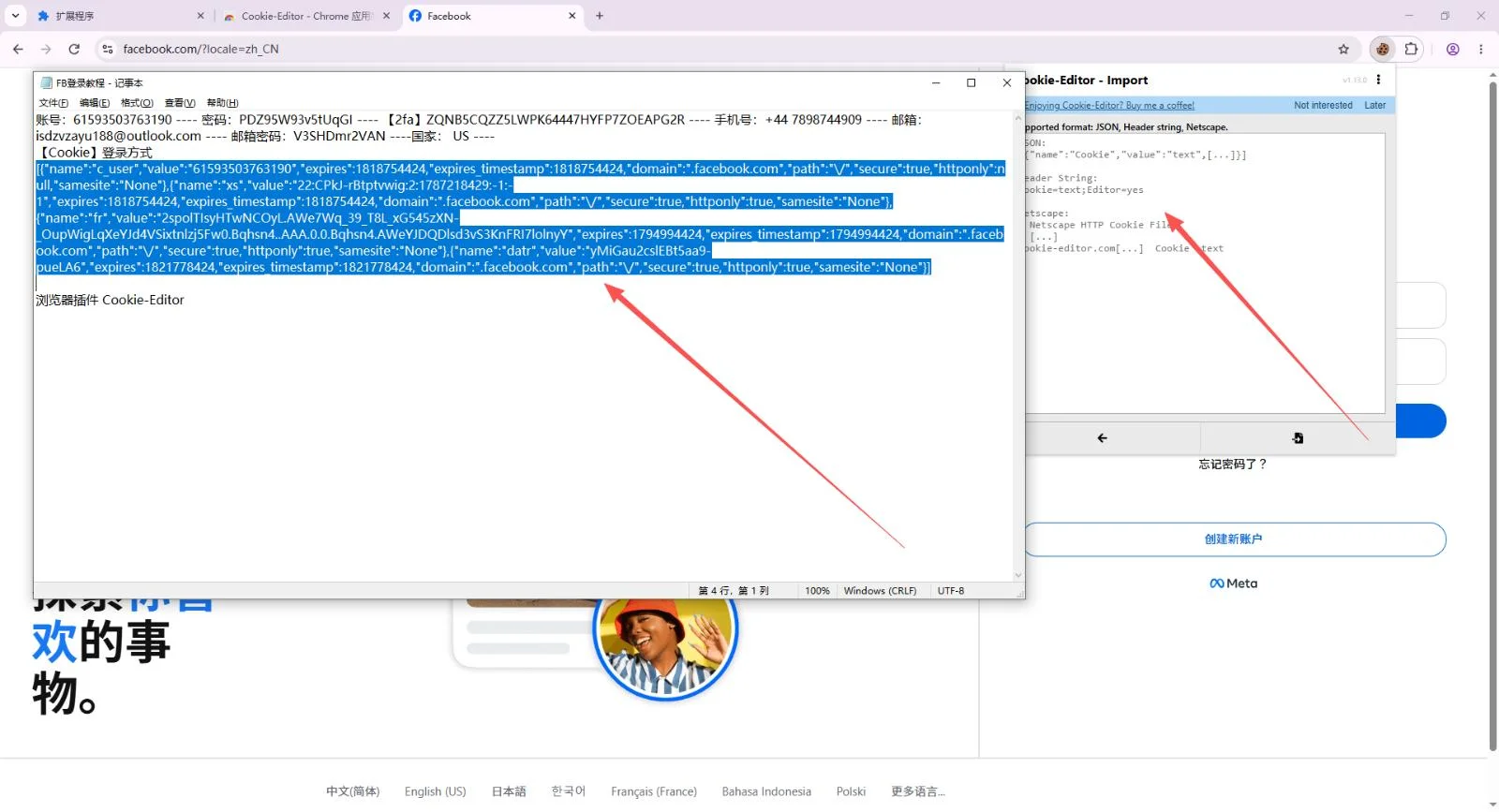 Copying the JSON cookie text and the empty Cookie-Editor import box